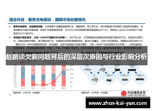 赵鹏谈欠薪问题背后的深层次原因与行业影响分析