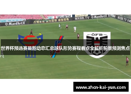 世界杯预选赛最新动态汇总球队形势赛程看点全解析前景预测焦点