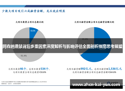 阿森纳遭禁背后多重因素深度解析与影响评估全面剖析指南思考展望