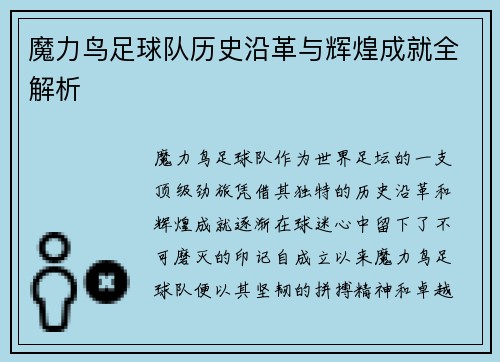 魔力鸟足球队历史沿革与辉煌成就全解析